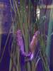 134 - 20220612 Cabrillo Marine Aquarium