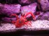 136 - 20220612 Cabrillo Marine Aquarium