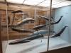 144 - 20220612 Cabrillo Marine Aquarium
