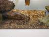 147 - 20220612 Cabrillo Marine Aquarium