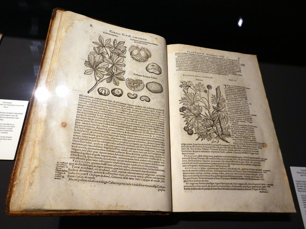 4112 - 20220802 Museum Plantin Moretus