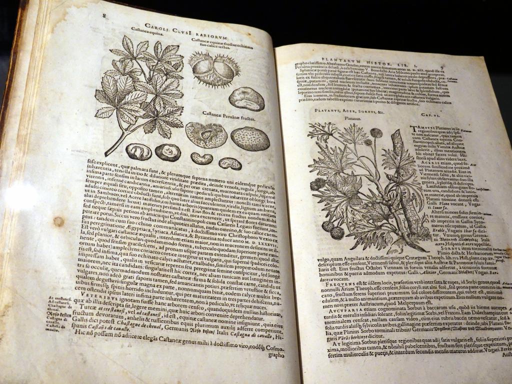 4135 - 20220802 Museum Plantin Moretus