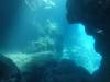 Album: Dive2-2 Kona Big Island Divers