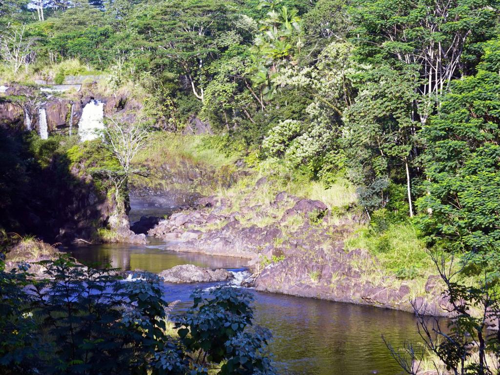 4005 - 2022217 Hawaii Big Island Day4