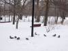 038 - 20230212 Montreal