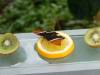 163 - 20230212 Montreal Insectarium