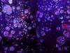 219 - 20230212 Montreal Planetarium
