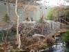 390 - 20230218 Montreal Biodome