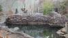 391 - 20230218 Montreal Biodome