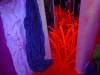 4109 - 20230302 Amsterdam ElectricLadyLand SONY