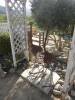 8103 - 20230416 Solvang Ostrichland