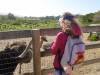 8107 - 20230416 Solvang Ostrichland