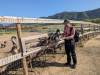 8113 - 20230416 Solvang Ostrichland