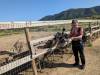 8116 - 20230416 Solvang Ostrichland