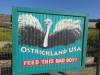 8120 - 20230416 Solvang Ostrichland