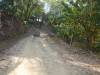512 - 20230526 Roatan Day2 SONY