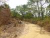 526 - 20230526 Roatan Day2 SONY