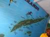 530 - 20230526 Roatan Day2 SONY