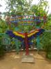 538 - 20230526 Roatan Day2 SONY