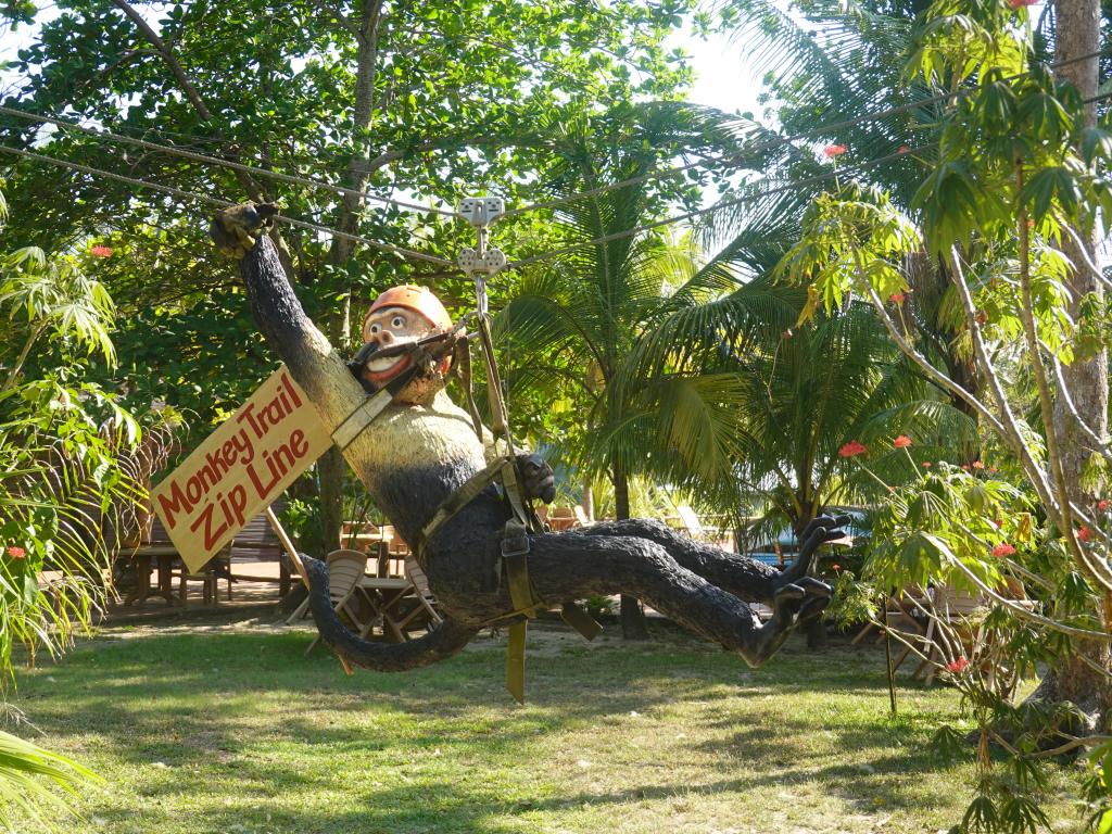 265 - 20230525 Roatan Day1 SONY