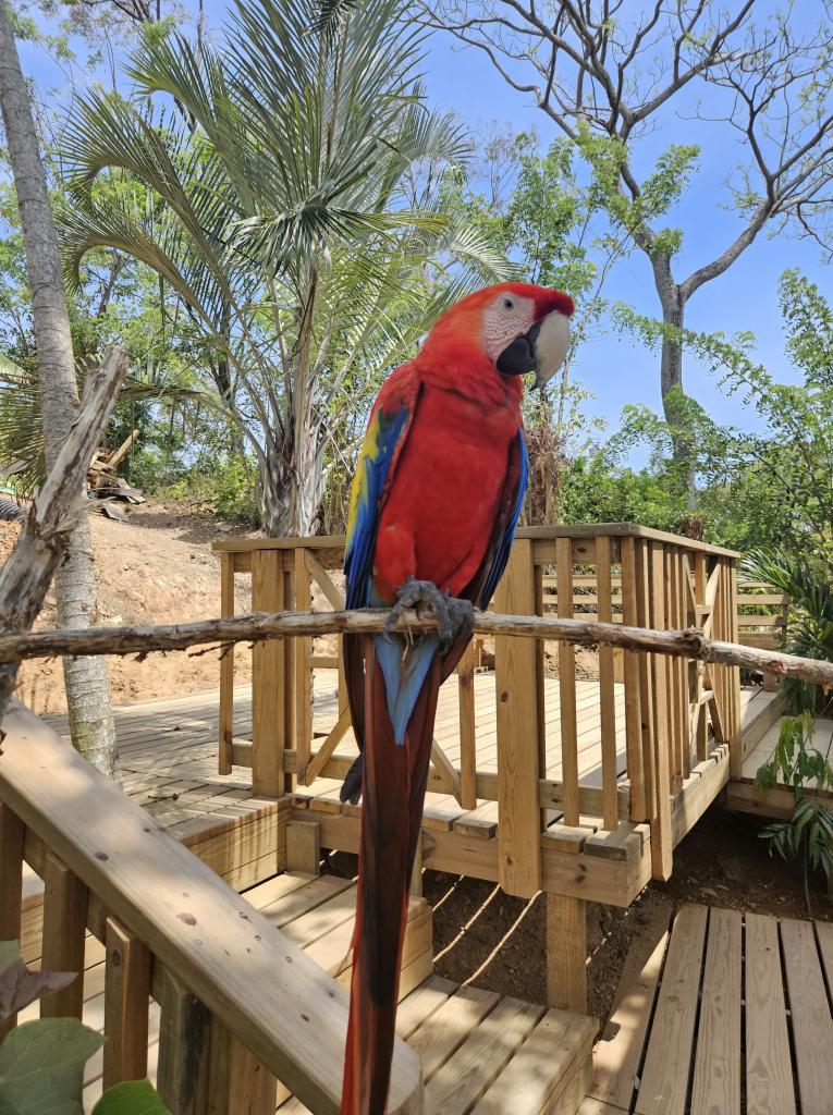 559 - 20230526 Roatan Day2 samsung