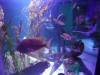 3107 - 20230621 Sea Life Scheveningen SONY