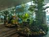 123 - 20231017 Singapore Changi Airport Google