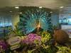 165 - 20231017 Singapore Changi Airport Google
