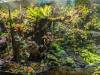 167 - 20231017 Singapore Changi Airport Google