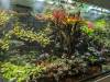 168 - 20231017 Singapore Changi Airport Google