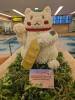 170 - 20231017 Singapore Changi Airport Google