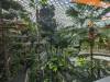 175 - 20231017 Singapore Changi Airport Google