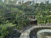 176 - 20231017 Singapore Changi Airport Google
