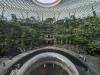 178 - 20231017 Singapore Changi Airport Google