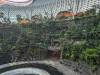 179 - 20231017 Singapore Changi Airport Google