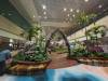 188 - 20231017 Singapore Changi Airport Google