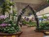 189 - 20231017 Singapore Changi Airport Google