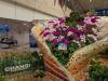 193 - 20231017 Singapore Changi Airport Google
