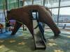 195 - 20231017 Singapore Changi Airport Google
