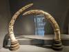 135 - 20231022 Bangkok National Museum Google