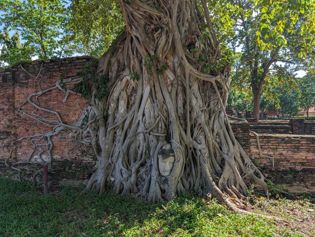 4071 - 20231023 Ayutthaya Google