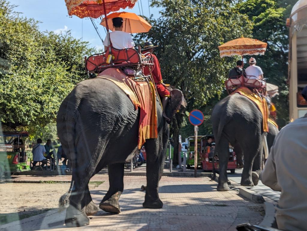 4091 - 20231023 Ayutthaya Google