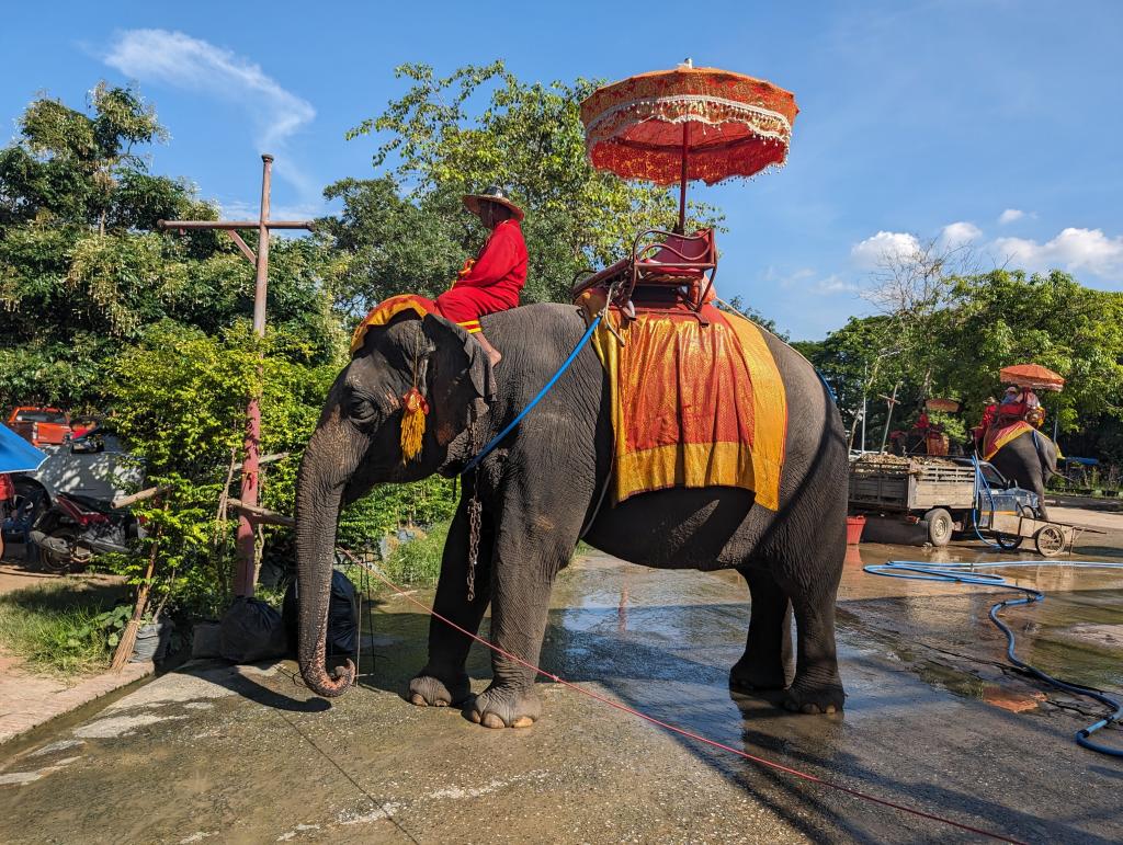 4096 - 20231023 Ayutthaya Google