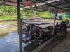 101 - 20231024 Damnoen Floating Market Google