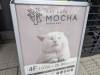 Album: 2024/01/11 - Harajuku Mocha Cat Cafe