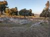 117 - 20240428 Athens to Mafplio Google