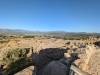 109 - 20240729 Mycenae Google