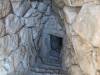 119 - 20240729 Mycenae Google