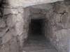 120 - 20240729 Mycenae Google