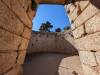 149 - 20240729 Mycenae Google